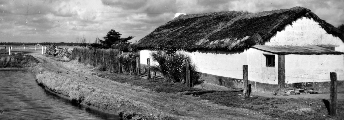 Bourrine